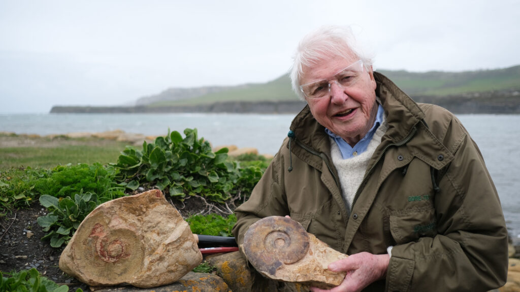 David Attenborough filmed around Kimmeridge as the sea monster was excavated from a nearby cliff in August 2022