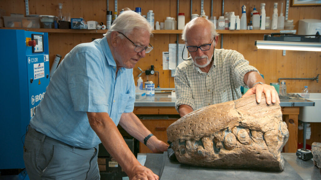 David Attenborough and Steve Etches examine the pliosaur skull at The Etches Collection
