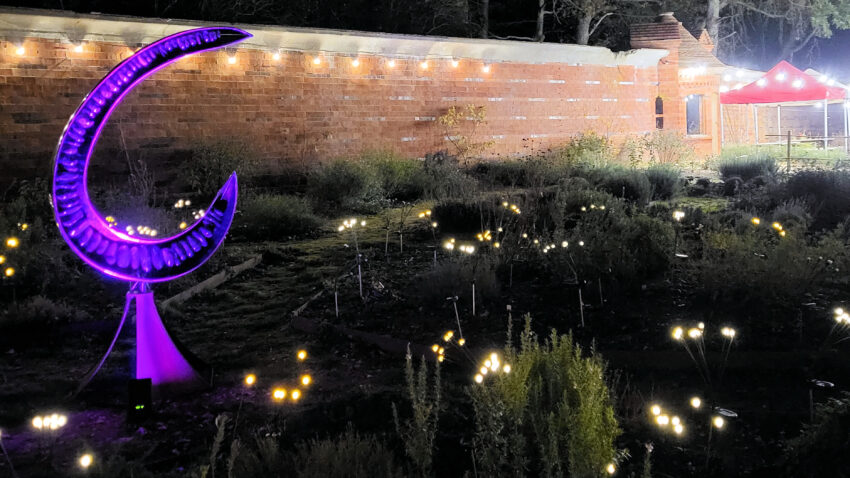 Sparkling lights show the way ahead at Carey's Secret Garden this December