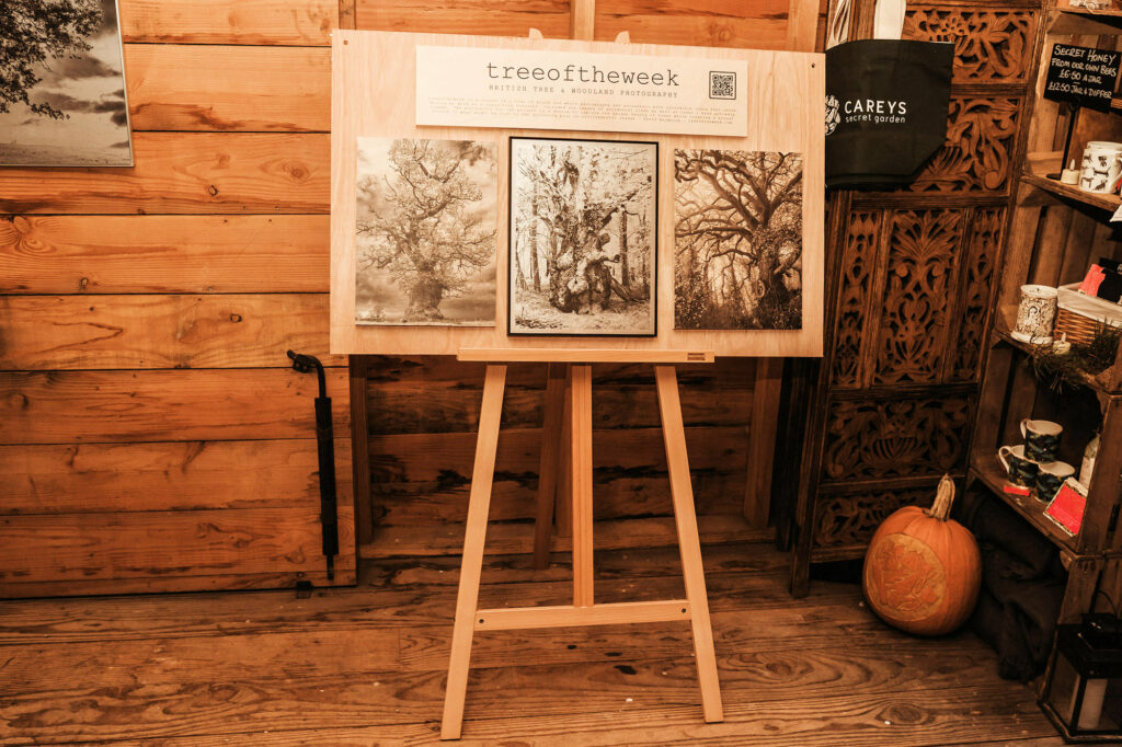 Easel at tree exhibition