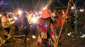 Purbeck Mummers led the blessing of the orchards at Purbeck Cider Farm - but need new members to join their group