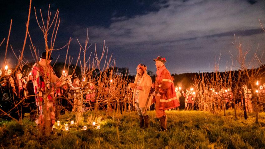 Performing the blessing at the 2023 Purbeck Cider Wassail