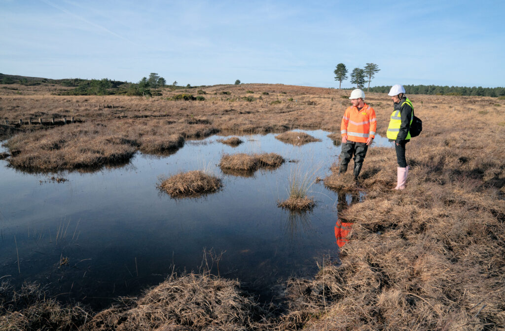 The National Trust project team inspect work to change the flow of water at Agglestone and Greenlands Mire