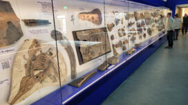 The Etches Collection museum has reopened in time for Easter after a £220,000 refit